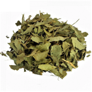 Chá de Espinheira Santa a Granel - Folhas Desidratadas - 300g